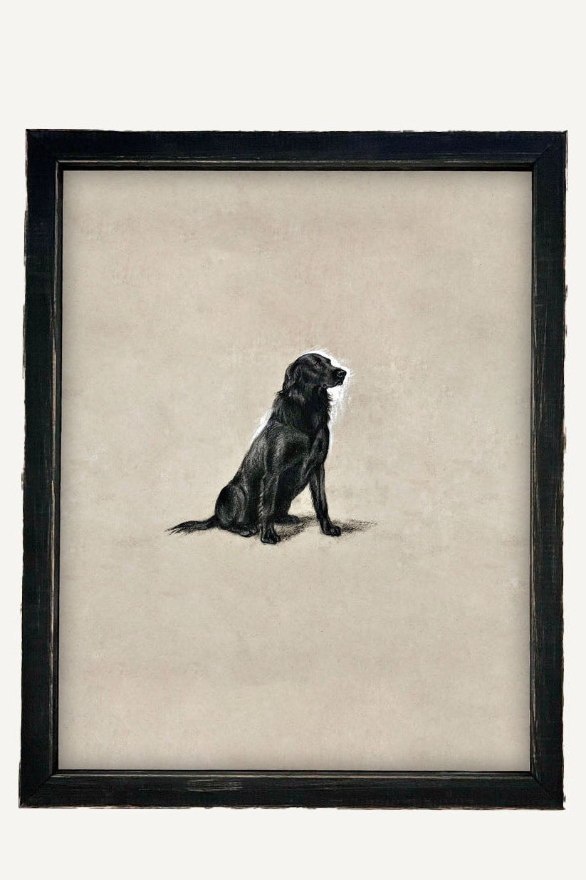 Framed Canvas Art