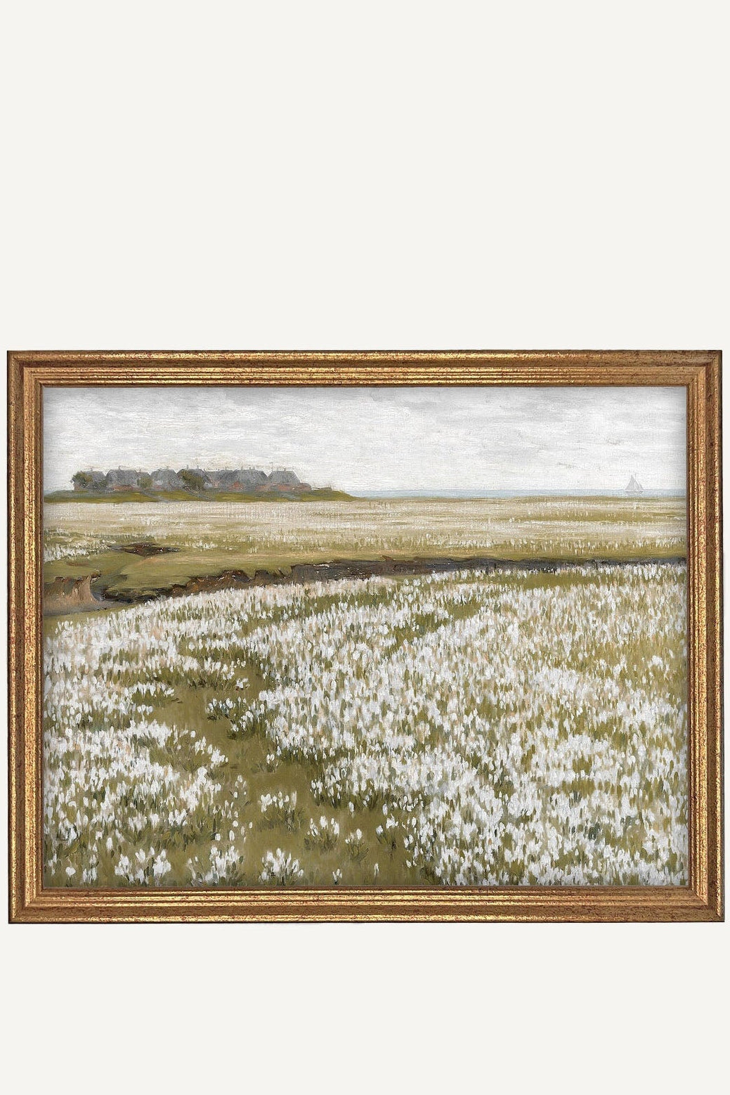 Framed Meadow