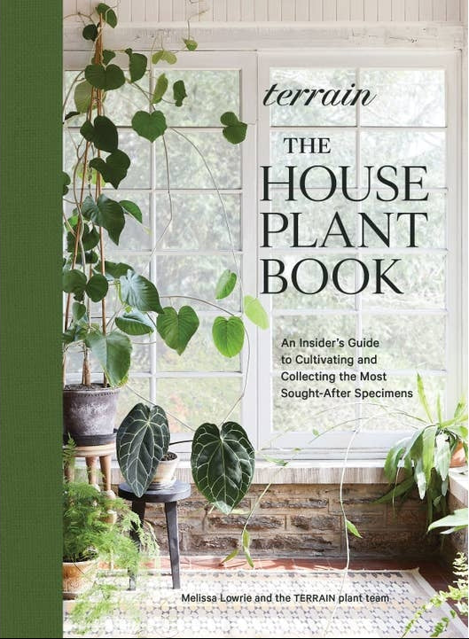 Terrain: the Houseplant Book