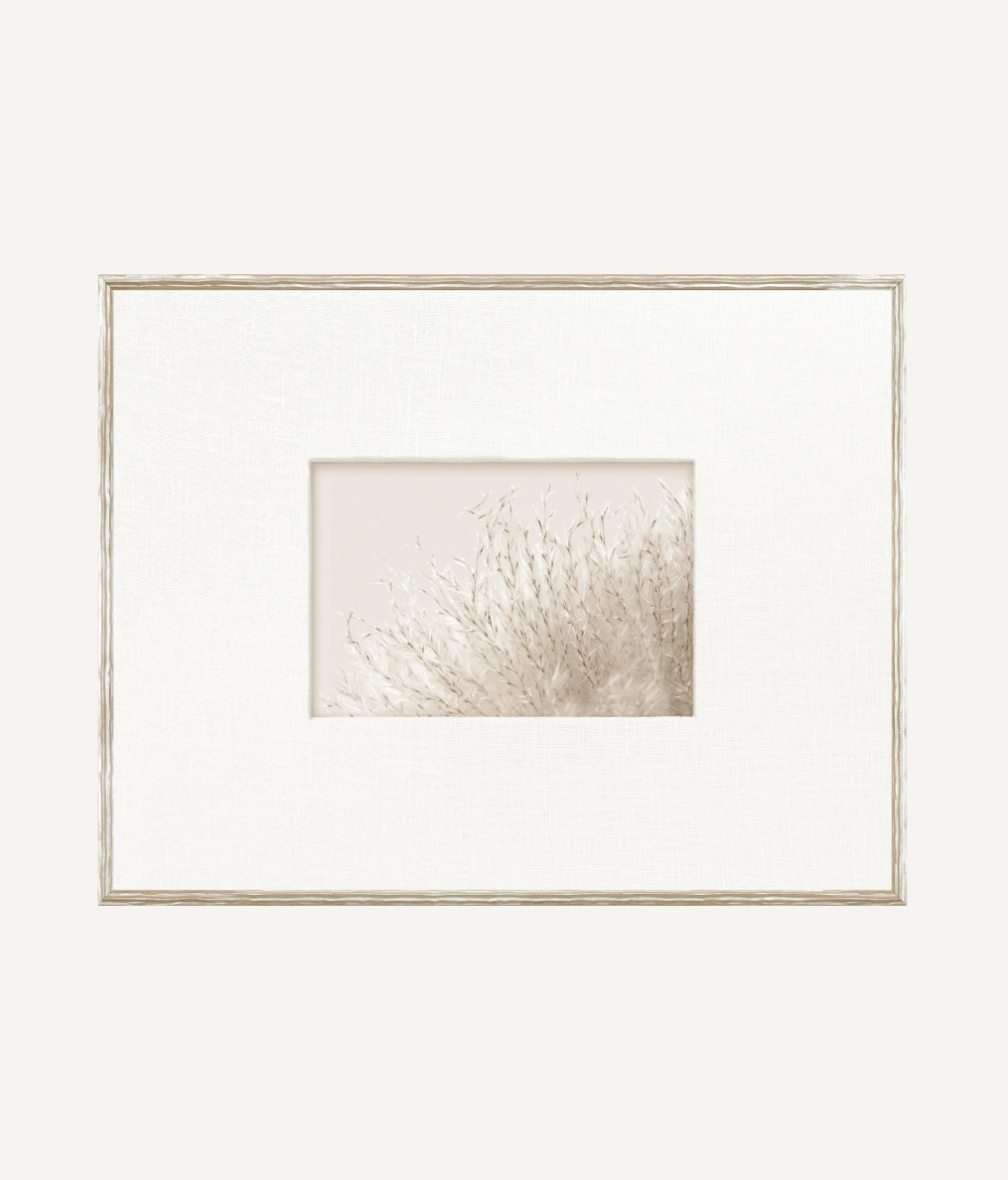 Botanical Origins IV