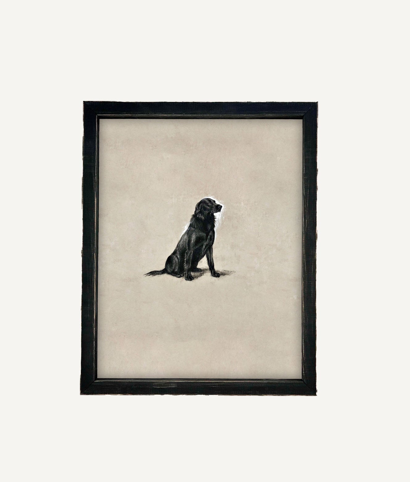 Framed Canvas Art
