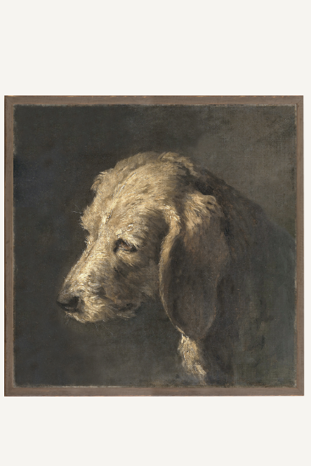 Northern Collection – Portrait C. 1845