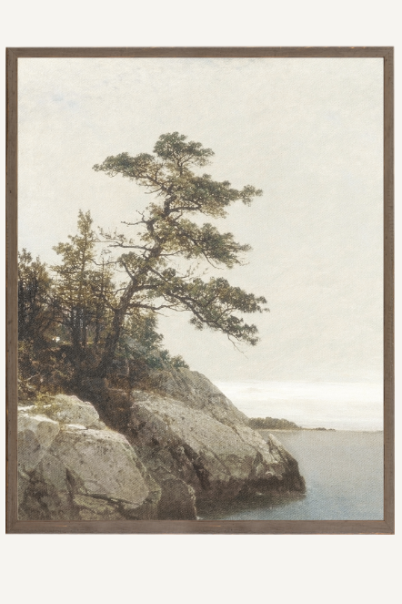 Northern Collection – The Old Pine C. 1872