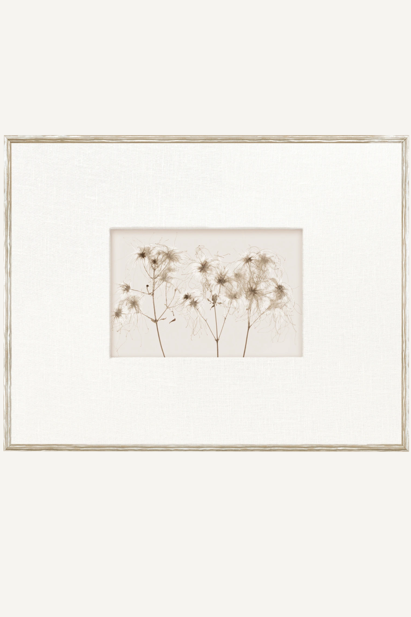 Botanical Origins II