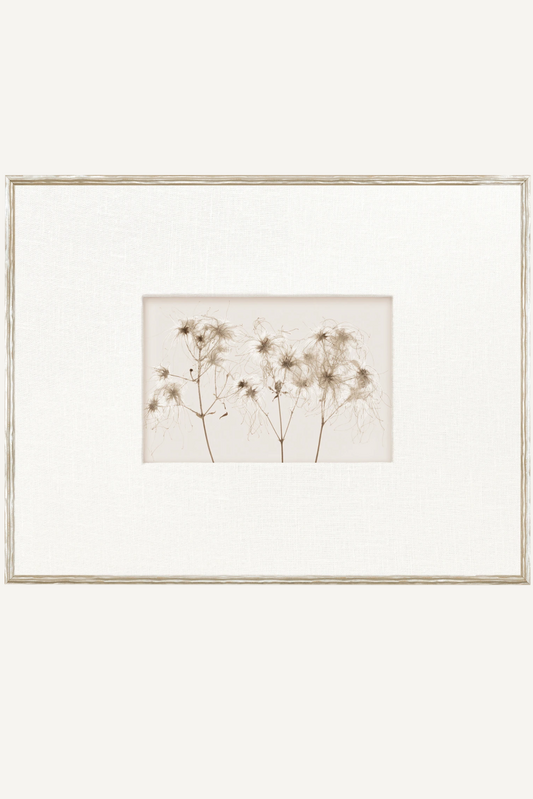 Botanical Origins II