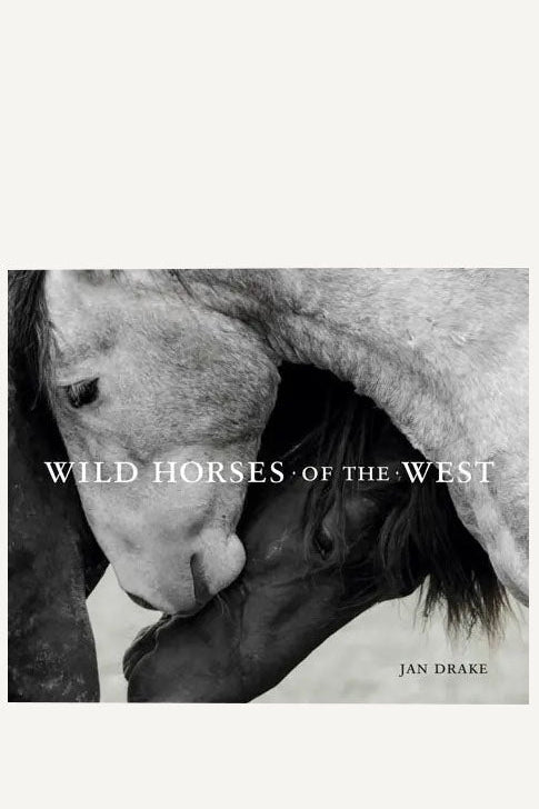 Wild Horses of the West